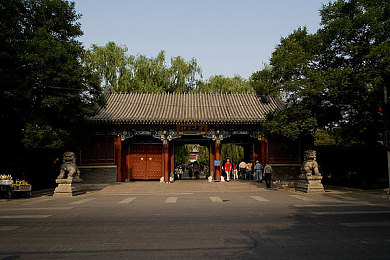 高清快播毛片／极致视听盛宴，高清世界探索之旅-1