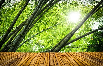 大学校花雨薇婉莹的背景故事｜青春蜕变，校花雨薇婉莹：从平凡到闪耀的璀璨历程-1