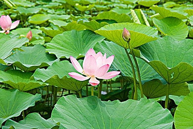 手伸进内衣裤子舌吻｜“内衣裤间奇遇：解锁情感互动新境界，共享轻松愉悦时光”