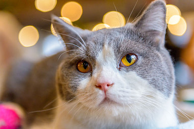 免费吃瓜猎奇爆料曝光独家揭秘｜揭秘网络迷雾：猎奇背后真相，理性守护清朗空间-1