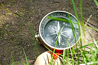 老司机视频成人／视频攻略解锁新境界：带你探索成人游戏世界新玩法