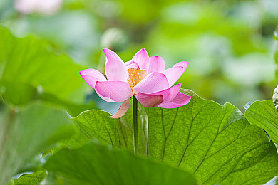 王芳高虎高敏亲情会｜温馨家庭聚会，亲情力量助成长