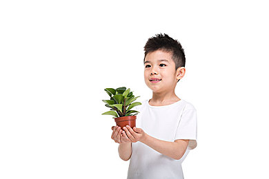 日本少妇水多｜日本少妇水润SPA，美肌焕发活力之旅
