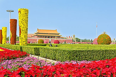 69    91天美｜发现美好，91天共筑心灵正能量之旅