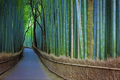 成人进  火影：成人视角重塑经典，《火影忍者》新篇引发热议：动漫文化传承与创新之旅-1