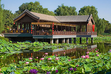 婷婷五月开心六月｜梦幻花园四季之旅：婷婷五月笑迎六月，打造你的花园乐园-3