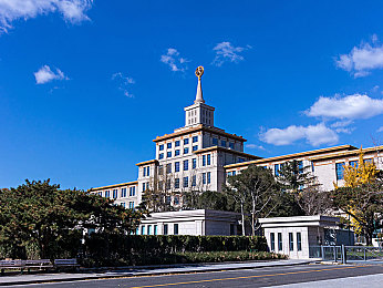 邦上向上支配性奴｜职场霸主养成记：解锁“向上支配性奴”晋升之道