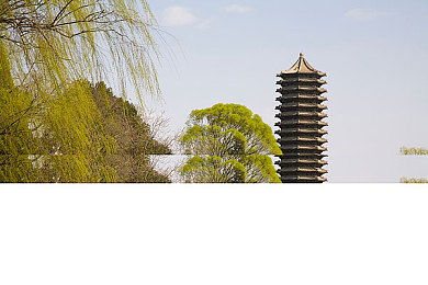 十八大禁黄软件｜“‘十八大禁黄软件’行动净化网络环境，助力未成年人健康成长成效显著”-2