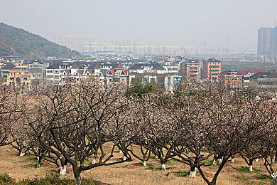 阿娇与冠希13分26秒的背景故事：阿娇勇敢面对13分26秒视频风波，娱乐圈道德底线再引热议-1