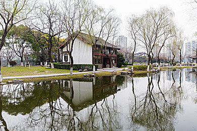向日葵视频二维码下载安装｜“轻松扫码，畅享海量：向日葵视频二维码下载安装，开启短视频新体验”-3