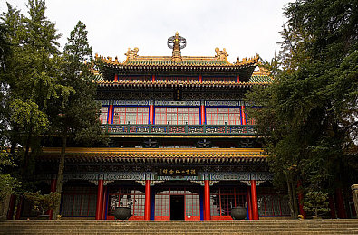青青草视频直播／探索网络直播新天地，青青草平台带你畅享精彩互动时光-2