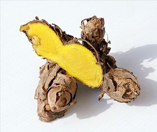 侵犯下属人妻／职场雷区避风港：守护家庭，筑牢职场道德防线-1