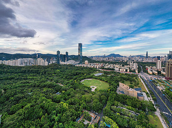 51少妇私密spa推油按摩｜“51少妇私密SPA服务走红网络，关注女性身心健康需警惕潜在风险”-1