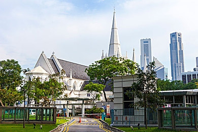 大菠萝福建｜探寻福建凤梨传奇：大菠萝的独特风味与福建风情-2