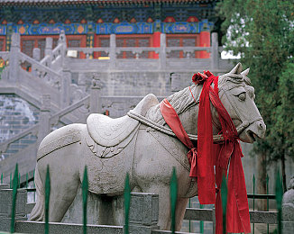 好 色 先 生TVa／色彩艺术盛宴，好色先生TVa引领视觉之旅