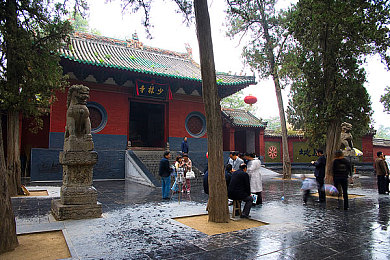 黄色程序｜解锁视听盛宴，尽享黄色程序魅力之旅-1