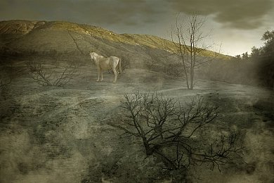 古代np／穿越千年奇幻境，沉浸“古文明”MMORPG体验之旅-3