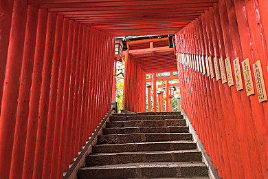 日本情色av／情色变革，新纪元游戏崛起