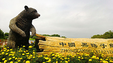 大炕上疯狂做爰／婚房习俗争议：隐私与传承的平衡挑战
