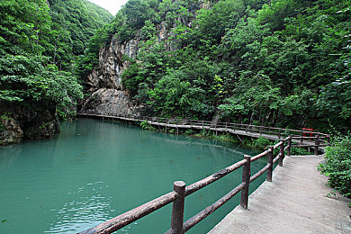 青青草a v／绿色盛宴启生态之旅，全民共筑美丽家园-2