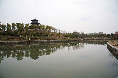 草莓视频下载香蕉／揭秘：高效视频下载新潮流，草莓视频下载助手引领下载革命-1
