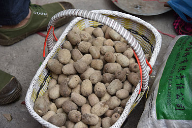草莓视频com／短视频新宠：草莓视频引领潮流，海量优质内容等你探索-2