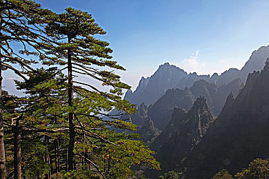青青草av免费观看／畅游无界，免费享乐：揭秘海量视频新天地-3
