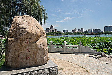 一本大香蕉在线／数字阅读新纪元，重塑时空阅读体验