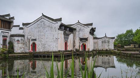天天操天天干天天｜每日锻炼，持续学习，高效工作：成就非凡人生之旅
