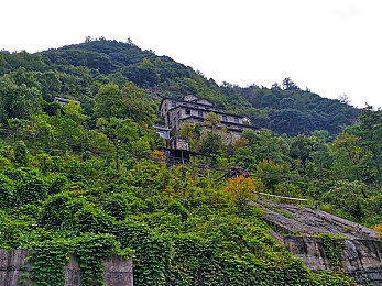 青青青青草原在线观看／数字绿洲，动画新声：《青青草原》网络热映点燃观影潮流-3