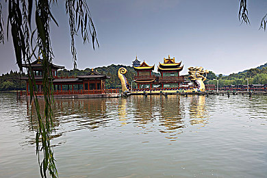 超级香蕉树／热带奇迹之旅，香蕉王国探险记-2