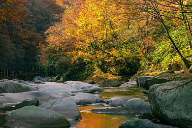青青草原在线下载／草原风华再现，动画魅力席卷网络，全民追剧热潮掀起-2