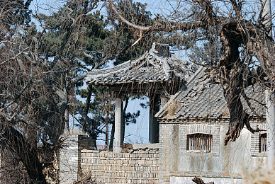 国产精品视频在线91／国产影视盛宴来袭：国产精品视频，揭秘惊喜之作，领略文化魅力-3