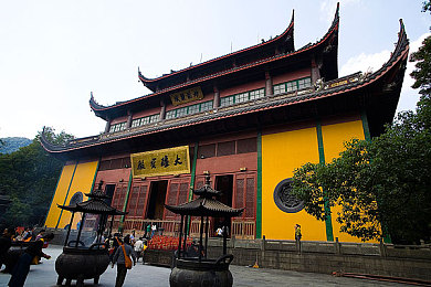 卫生纸如何折磨自己｜卫生纸环保革命：揭秘绿色生产之路，助力地球家园-4