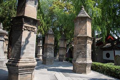 青青草成国产／绿野仙踪，国产荣耀绽放：探寻青青草背后的奇幻之旅