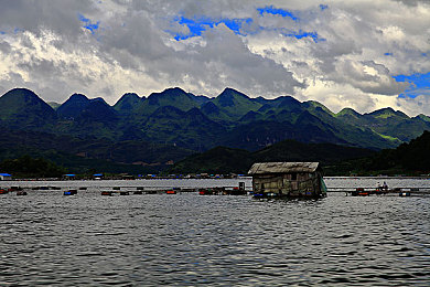 青青草原 在线视频／草原画卷，VR体验，尽享自然魅力-2