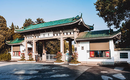 福利社区91／“科技织梦，便民服务新篇章：新时代社区服务新标杆崛起”-2