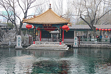 一群东北老头玩老熟女｜“夕阳余晖下的道德拷问：东北老头与老熟女事件引发的深思”-3