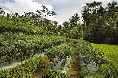 汤不热v8.5破解版下载安装免费｜软件盗版热潮引发法律与安全风险探讨-3