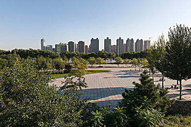 www色悠悠／社交游戏新风尚：www色悠悠引领互动潮流，百万玩家共鸣新体验-3