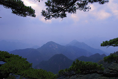 怡红院首播／古院新篇，角色演绎，财富盛宴，沉浸奇旅-2