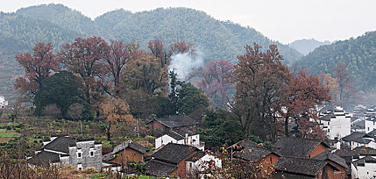 嫩草影视av／新媒体影视新势力，青春潮流观影盛宴