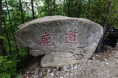 免费看片18／影视天地无界，＂18＂享观影自由之旅-4