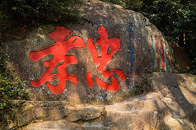 青青草这里都是／乡村振兴画卷，绿色发展新篇章-3