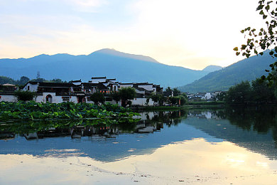按摩师按到我高潮忍不住做了｜“揭秘按摩艺术：专业手法让顾客高潮，身心愉悦体验令人惊叹”-3