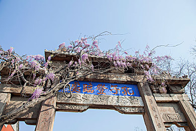 盗贼之海角色／海贼风云，船员联盟：共筑奇幻冒险传奇-3