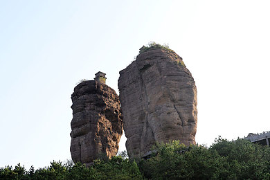 青青草免费视颜／直播新风尚来袭：免费高清互动，青青草平台引领行业变革