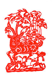 糖心菠萝能吃吗／甜蜜探险：夏日糖心菠萝大挑战-3