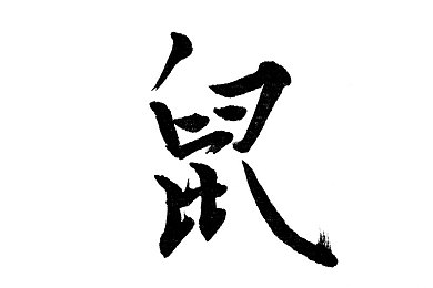 色色卡一卡二｜“趣味互动，智慧挑战——探索‘色色卡一卡二’的魅力世界”-2