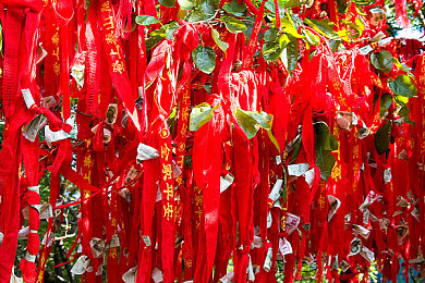 葫芦娃传媒app下载／娱乐新篇章，葫芦娃传媒APP开启多元化视听盛宴之旅-2